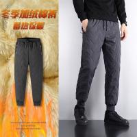 uploads/erp/collection/images/Men Clothes/LITEWEI/EN0199813/img_b/EN0199813_img_b_3